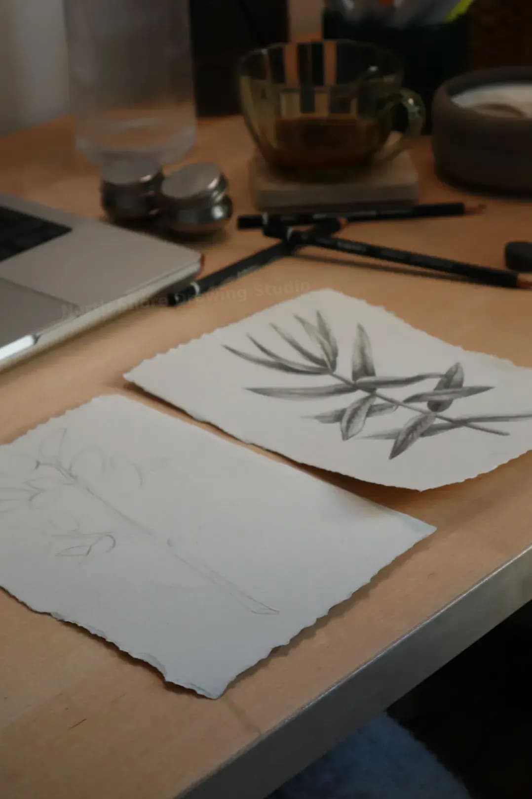 North Shore Drawing Studio